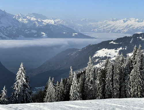 Schneeschuhtour Hohgant