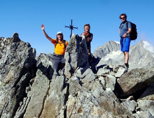 Von der Grimsel zum Löffelhorn
